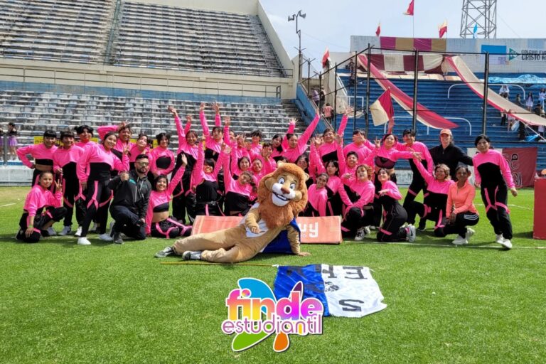 Finde Estudiantil - FNE