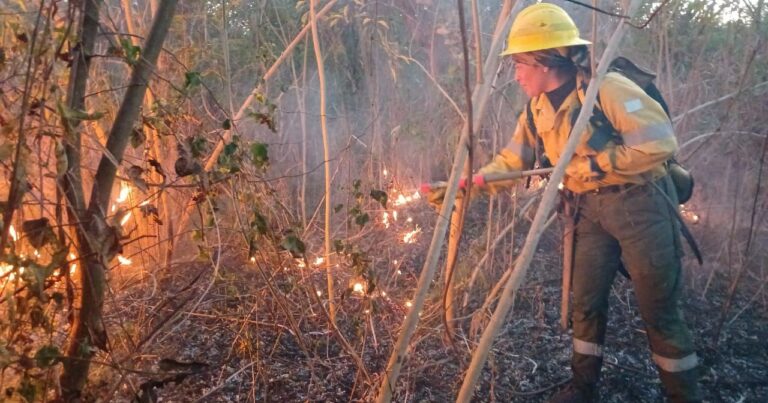 incendios forestales