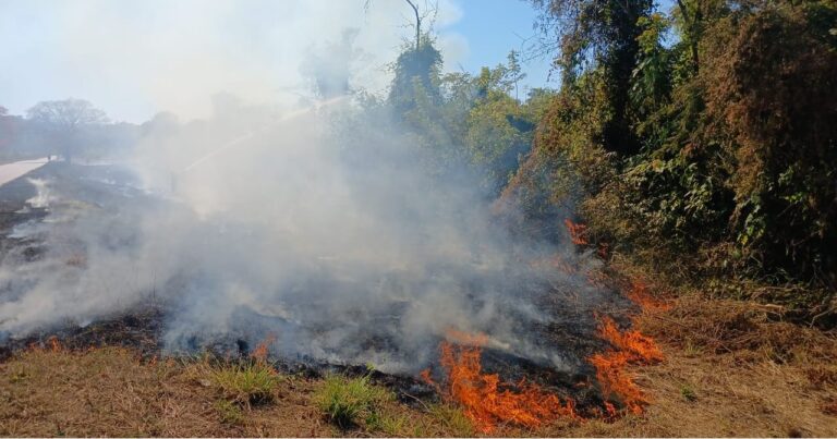 incendios forestales