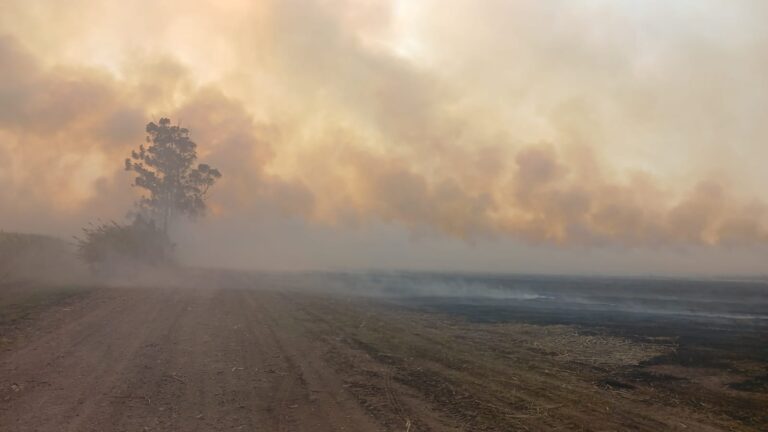 incendios forestales