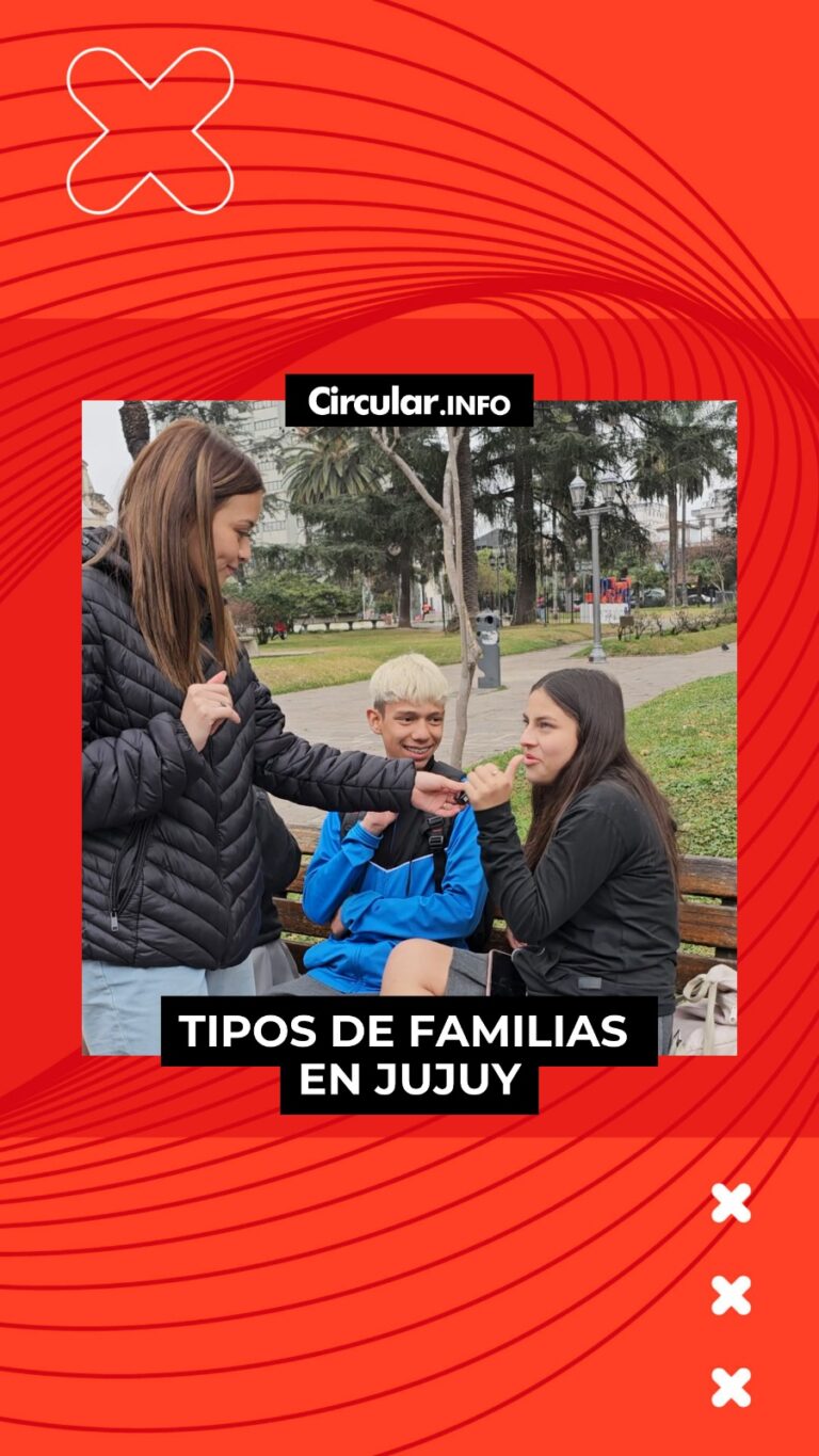 TIPOS DE FAMILIAS EN JUJUY