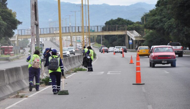 limpieza en avenida savio