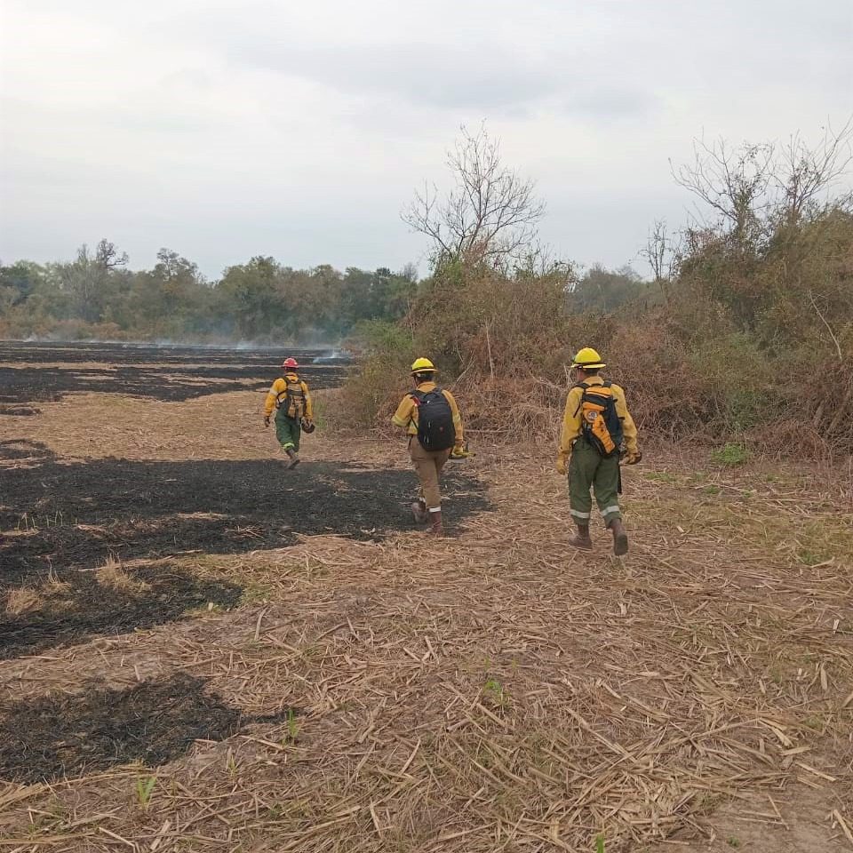 incendios forestales