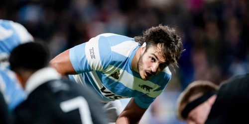 LOS PUMAS