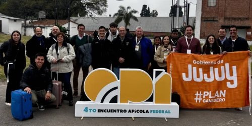 Proyecto nuevo (10)