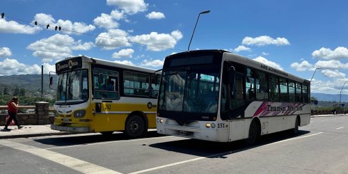 colectivo
