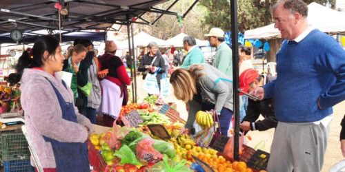 feria-campesina2-768x545