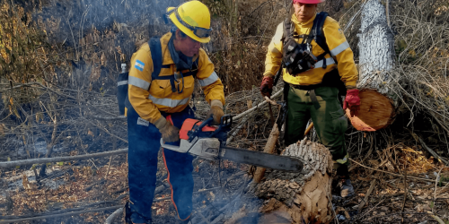 incendio_20261002_084846_0000