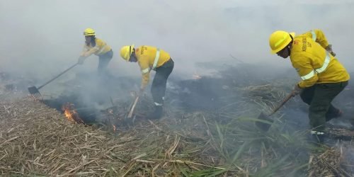 incendios jujuy