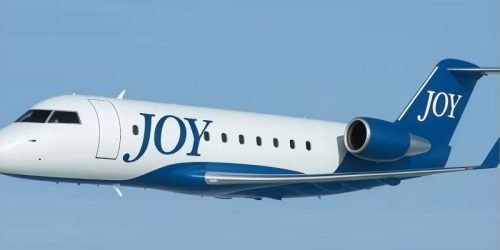 joy-800x445