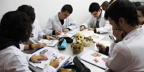 medicina