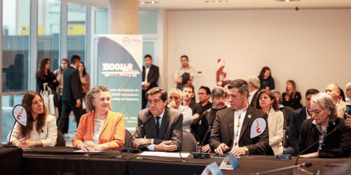 zicosur_20261011_171324_0000
